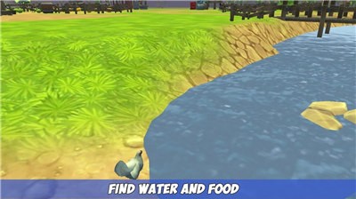 我的鸡模拟器游戏