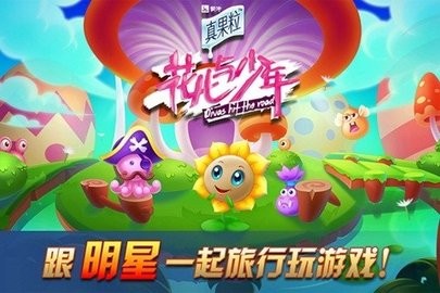 花儿与少年手游