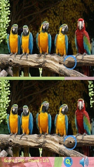 美女来找茬单机版