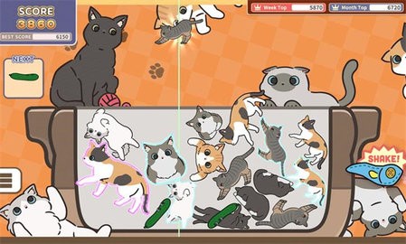 猫咪三重奏游戏
