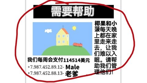 小菠的午夜后宫游戏中文版
