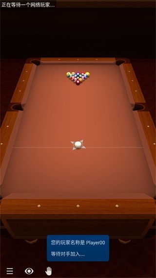 3d台球专业版