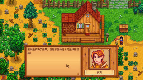 星露谷物语数数魔幻版