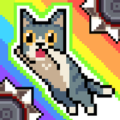 猫咪跳跃中文版