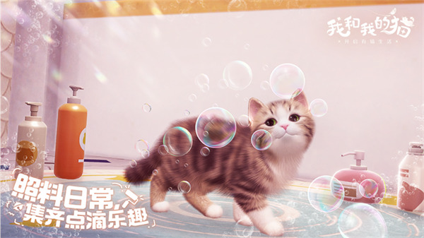 我和我的猫官网正版免费