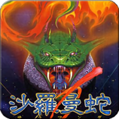 fc沙罗曼蛇游戏手机版