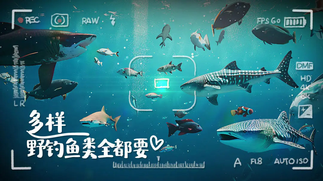 垂钓大师无限金币版