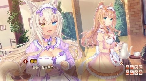 猫娘乐园汉化版