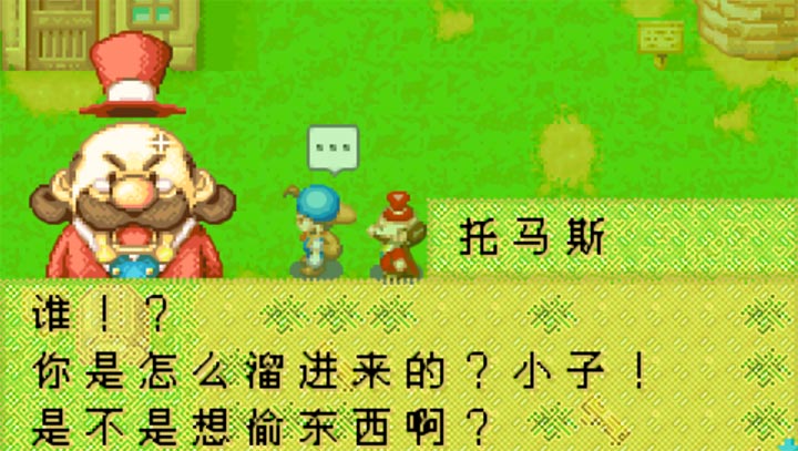 牧场物语双子村金手指修正版