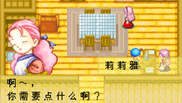 牧场物语双子村金手指修正版