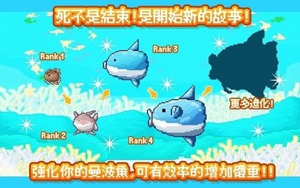 活下去曼波鱼最新版