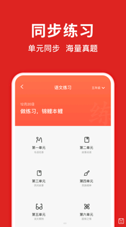 题拍拍app官方