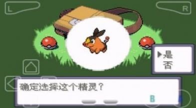口袋妖怪钻石金手指版