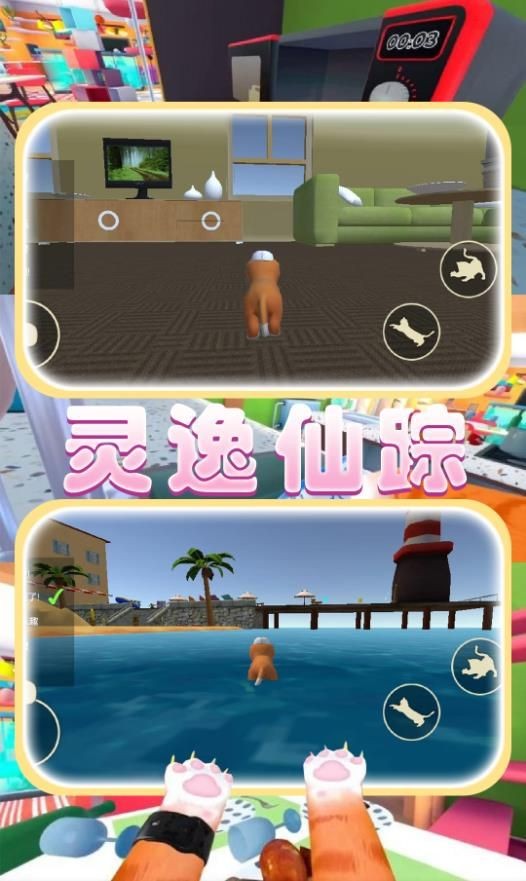 猫猫奇妙冒险最新版