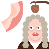 培根bacon最新版