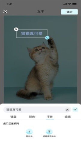 青橘美化app