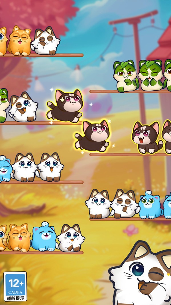 猫猫对对碰官方版