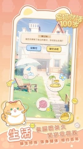 是猫就活100岁游戏