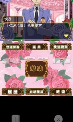 樱兰高校男公关部游戏手机版