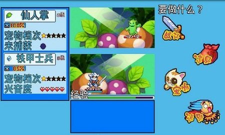 宠物王国5彩虹无限版
