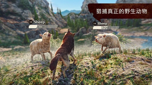 Thewolf狼族最新版