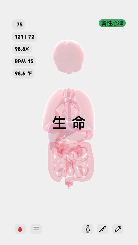 生命人体模拟器游戏中文版
