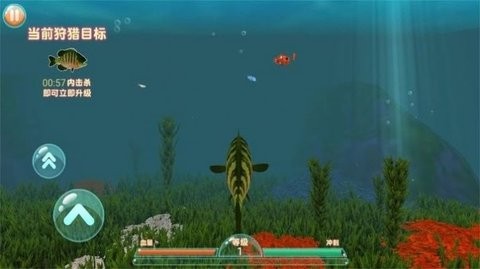 海底大追杀游戏中文版