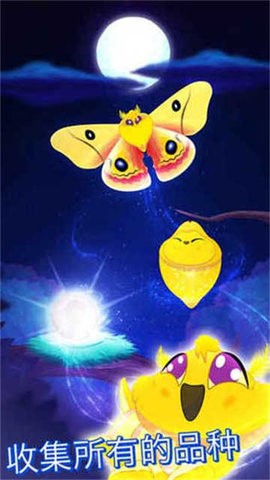 彩翼之星夜游戏