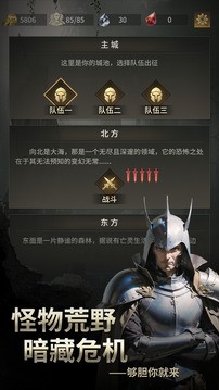 流浪骑士官方版