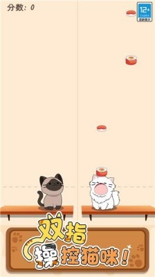 猫咪二重奏正版