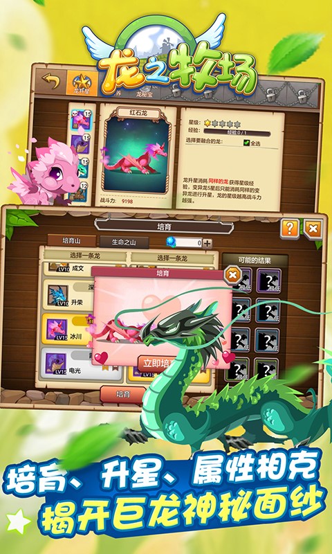 育龙高手手游