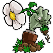 植物大战僵尸二战版