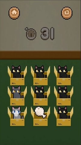 数猫猫手机版
