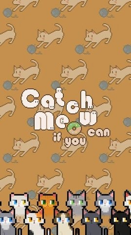 数猫猫手机版