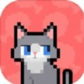 数猫猫手机版