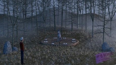 森林探险与谜团最新版