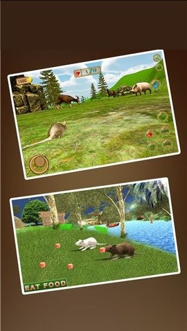 动物模拟3D