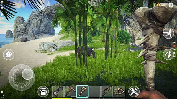 最后的海盗岛屿生存联机版