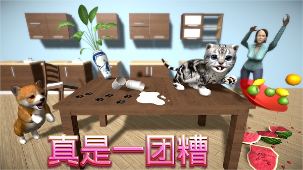 猫咪模拟器正版