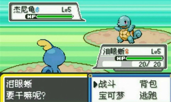 宝可梦伊布