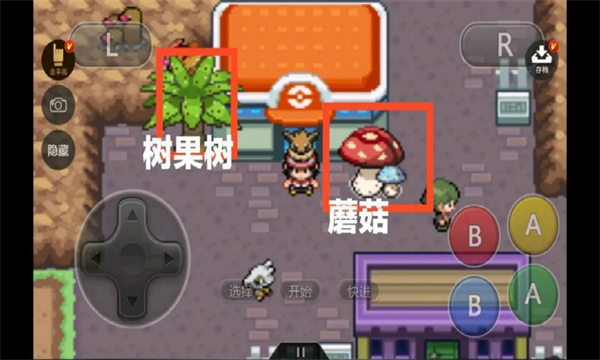 宝可梦伊布