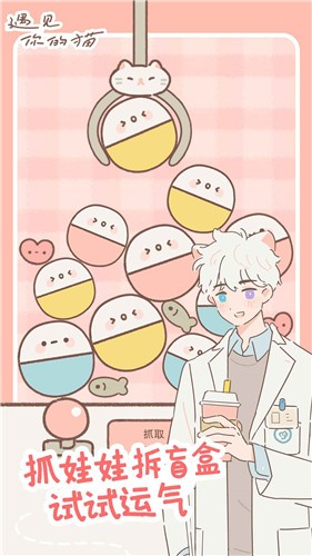 遇见你的猫正版