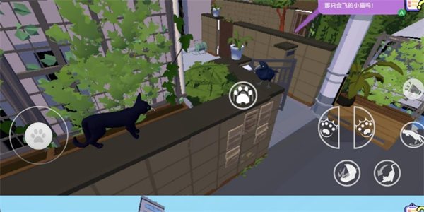 小猫咪大城市正版游戏