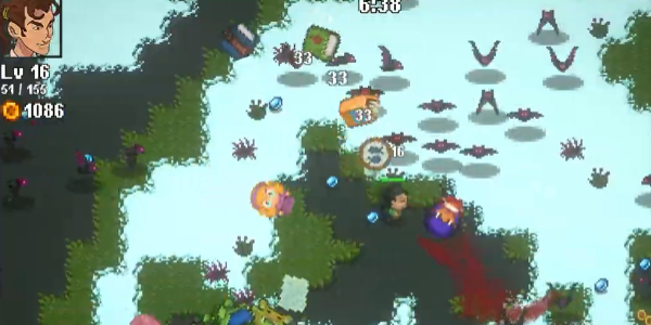 呆子幸存者完整版