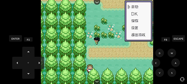 口袋妖怪燃之智内置修改器