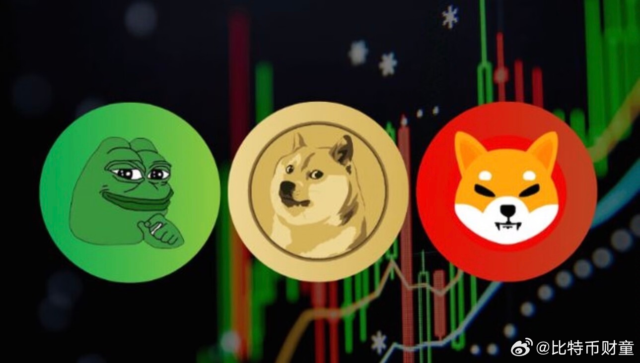 meme币风险预警_如何避免亏损80%_社群操作指南