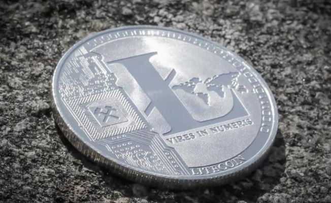莱特币怎么挖_新手入门_保姆级教程与避坑指南
