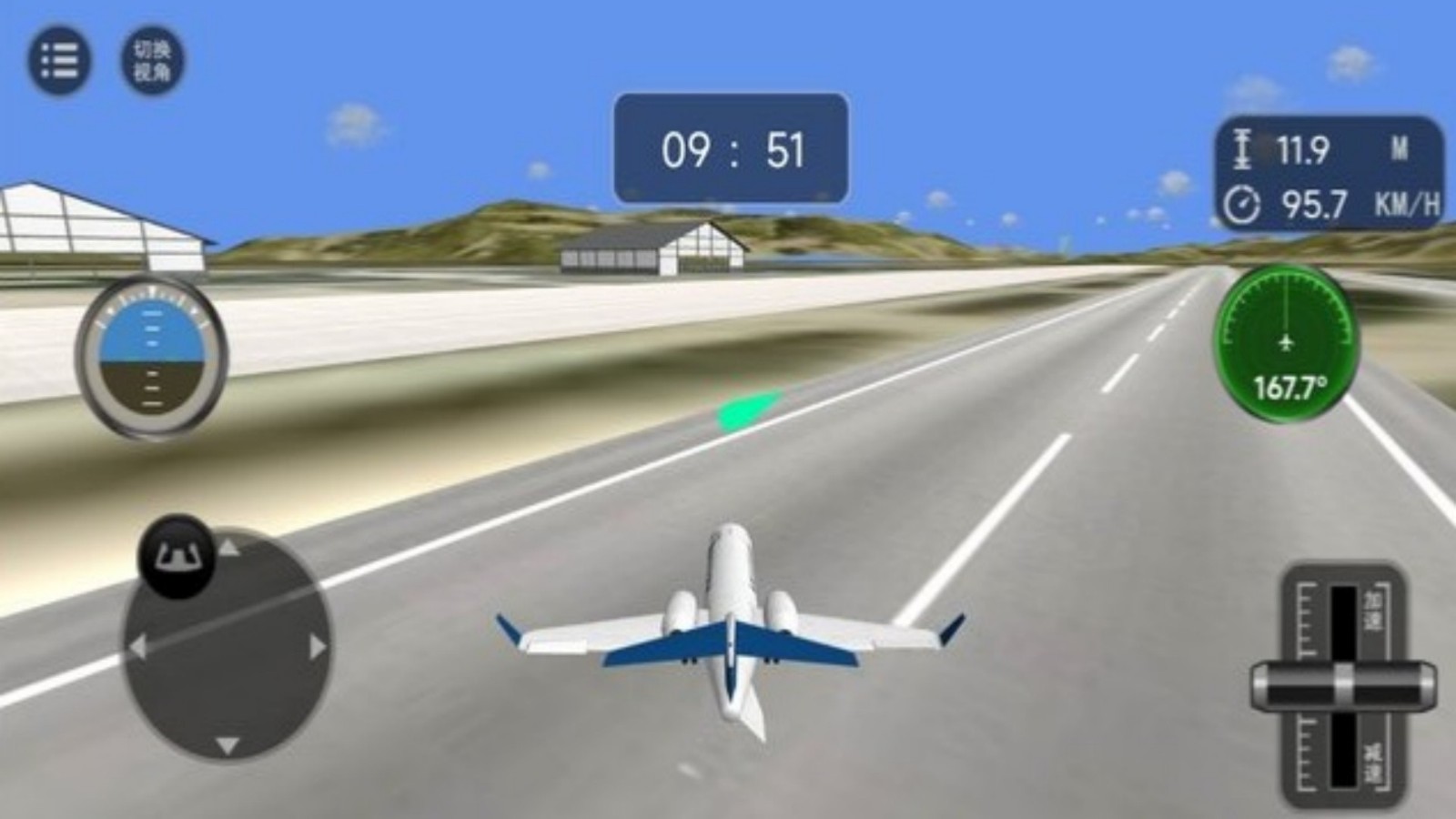 雄鹰飞行空中较量