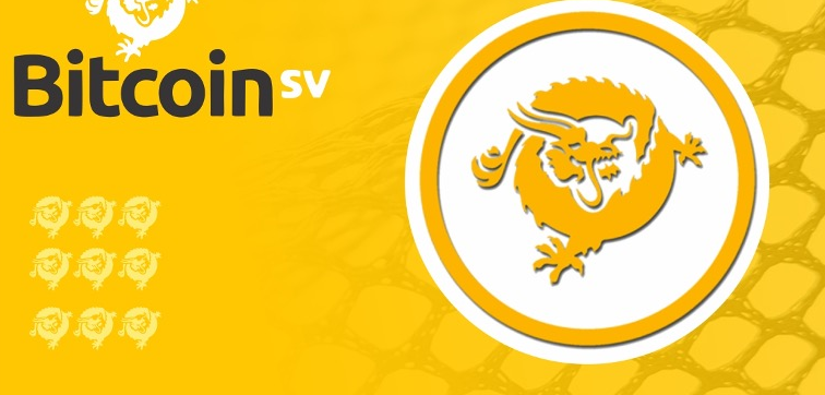 BSV与ZEC全面对比：如何选择最适合你的加密货币？