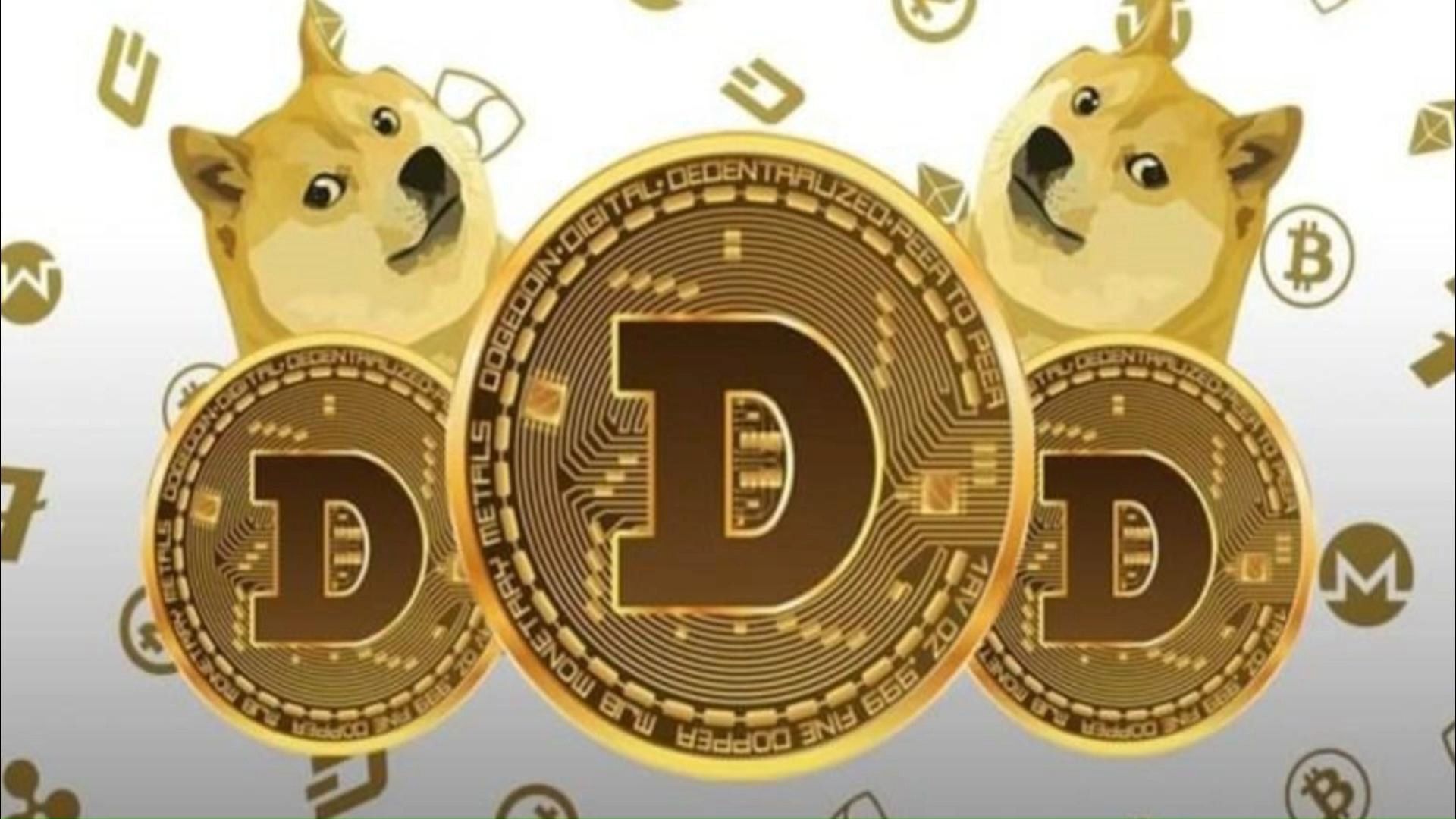 比特币大佬为何看衰狗狗币,投资风险在哪,如何调整持仓策略